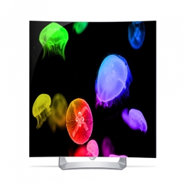 LG OLED 1080p Smart TV - 55" EG910
