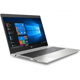 HP ProBook 450 G7 Notebook PC 8MH05EA (DW)