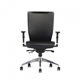 Office Swivel Chair (BRV model)