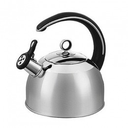 Morphy Richards Stainless Steel Accents Whistling Kettle