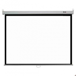 SMAAT 72/72 Portable Tripod Projector Screen