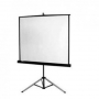 96 x 96 Tripod Projection Screen